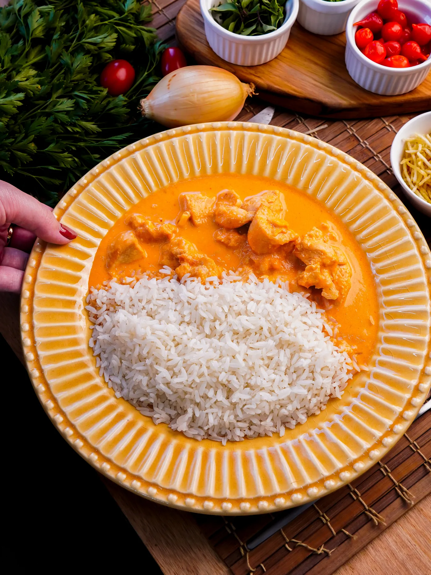 Estrogonofe de frango com arroz servido no Saboreando
